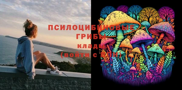 ешки Алексин