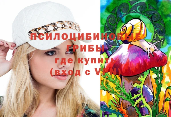 спиды Алзамай