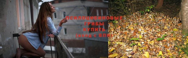 спиды Алзамай